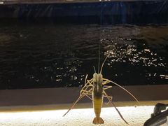 -DGE季风钓虾营地·团建·聚会