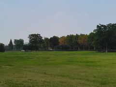 -宜兴龙背山森林公园