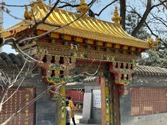 -护国法轮寺