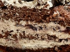 -幸福西饼生日蛋糕·下午茶(光明店)