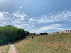 -南京金牛湖风景区