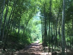 -秦皇古道马场
