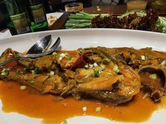 松花江牛尾巴鱼-胖姐渔村(中源大道店)