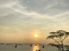 -圣淘沙天际线斜坡滑车