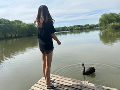 -长兴太湖图影湿地文化园