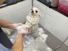 -宠物家(角门东店)