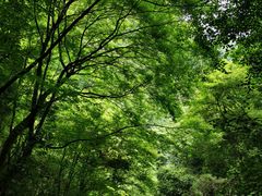 -水磨沟环境自然保护区