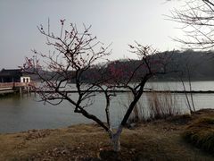 -渤公岛生态公园