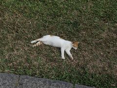 -广州兰圃