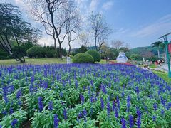 -广州市白云山风景名胜区