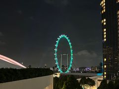 -新加坡摩天观景轮