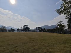 -白石龙音乐公园