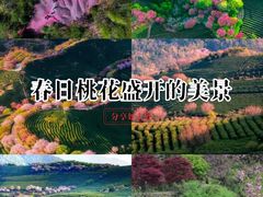-西湖文化广场