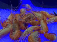 -长沙三景韦尔斯利酒店·Oval全日制餐厅自助餐