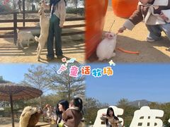 -盈香心动乐园