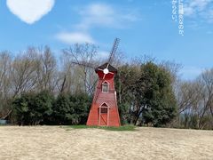 -白塔湖国家湿地公园