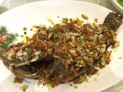 -阿锋鲍鱼酒家美食汇(华安店)