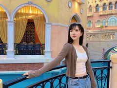 -澳门威尼斯人综合度假区