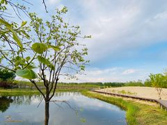 -东郊湿地公园
