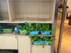 自助取餐区-东椰·海南椰子鸡火锅(朝阳门店)