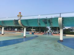 -秦皇岛乐岛海洋王国