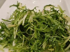 豆皮苦菊-陶然饺子城(奥体中路店)