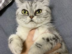 -盛兴面馆(真儒大厦店)