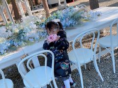 -安德鲁户外烧烤帐篷营地(马泉营店)