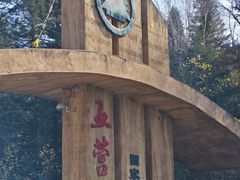 -五营红松林海景区