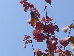 -凤翔首邑温泉度假村