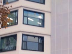 -济南市胜利大街小学