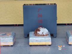 -长春观