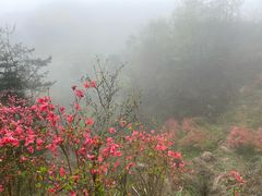 -十九峰景区-倒脱靴