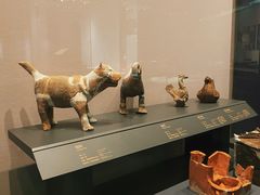 -贵州省博物馆(新馆)