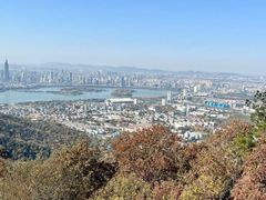 -紫金山山顶公园