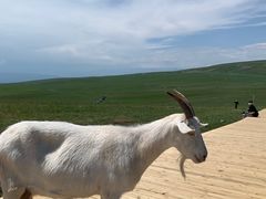 -特克斯八卦城