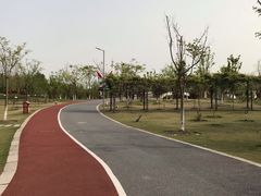 -上海长兴岛郊野公园