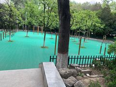 -西安市长乐公园