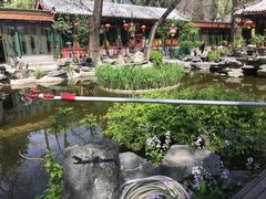 -白家大院·王府宫廷菜(苏州街店)
