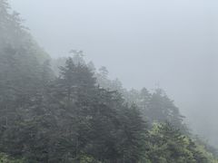 -老界岭旅游度假区