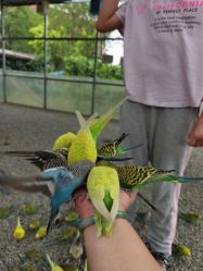 -萌宠亲子动物乐园(槐房万达店)