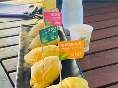 -榴莲BB 四季果园
