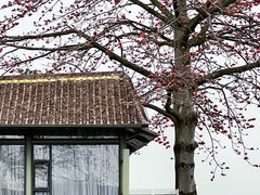 -喜洲吧·江畔老船厂·庭院餐厅(喜临院店)