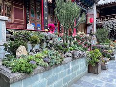 -寂照庵