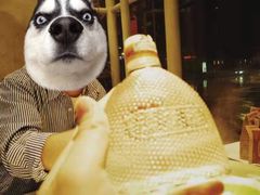 -为什么牛潮汕牛肉火锅(中信广场店)