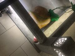 -新渝城·始于2000年(淘金店)