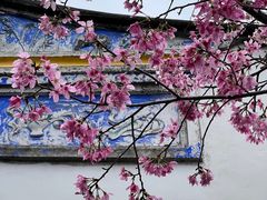 -乌山风景区