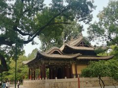 -晋祠公园