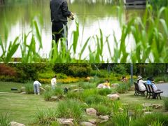 -上海长兴岛郊野公园