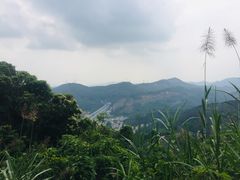 -天鹿湖森林公园